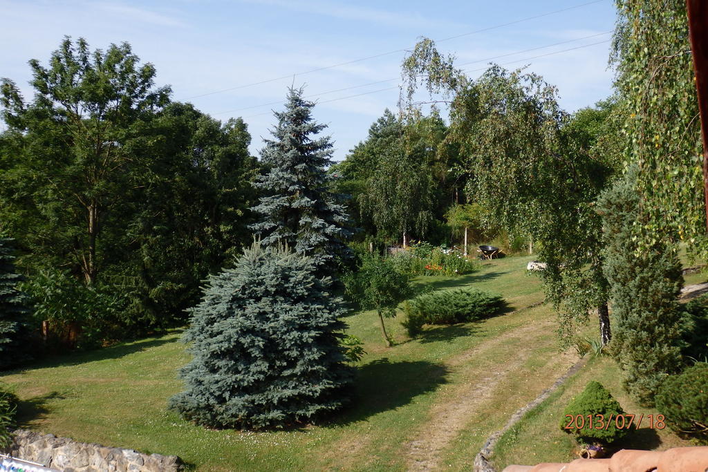 Villa Blanka Horni Podkozi Exterior photo